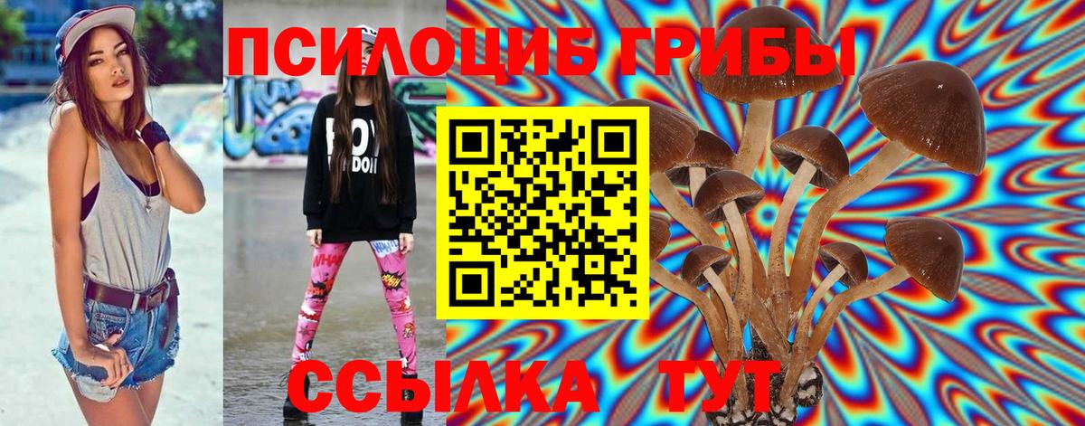 Галлюциногенные грибы Psilocybe  Вход с VPN  Галлюциногенные грибы Magic Shrooms  Баксан 