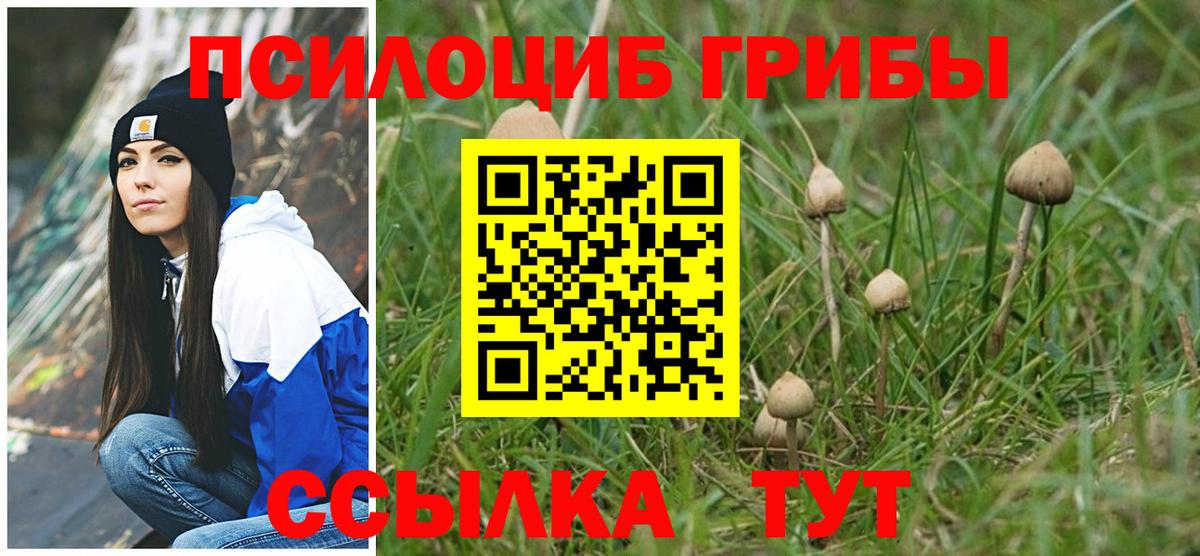 Псилоцибиновые грибы MAGIC MUSHROOMS Баксан
